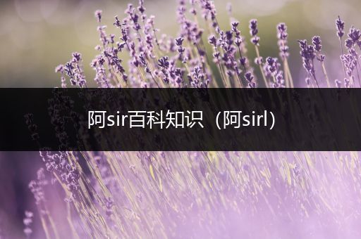 阿sir百科知识（阿sirl）