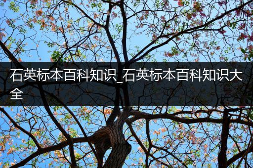 石英标本百科知识_石英标本百科知识大全