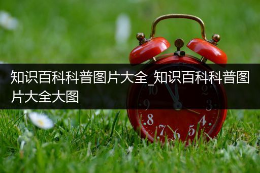 知识百科科普图片大全_知识百科科普图片大全大图