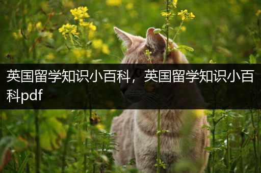 英国留学知识小百科，英国留学知识小百科pdf
