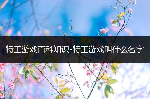 特工游戏百科知识-特工游戏叫什么名字