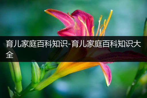育儿家庭百科知识-育儿家庭百科知识大全