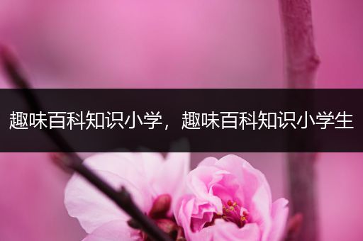 趣味百科知识小学，趣味百科知识小学生