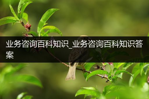 业务咨询百科知识_业务咨询百科知识答案