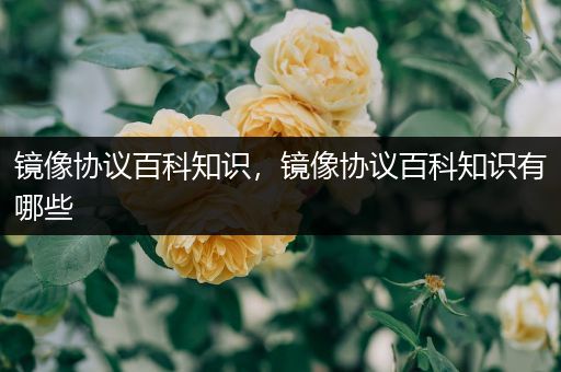 镜像协议百科知识，镜像协议百科知识有哪些