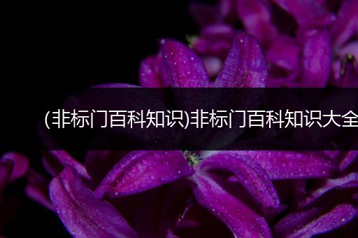（非标门百科知识)非标门百科知识大全