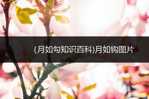 （月如勾知识百科)月如钩图片