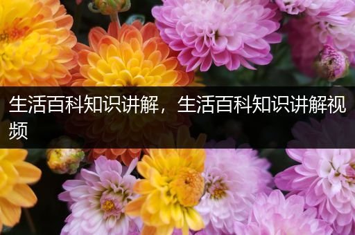 生活百科知识讲解，生活百科知识讲解视频