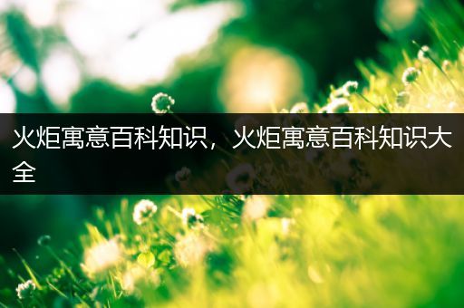 火炬寓意百科知识，火炬寓意百科知识大全