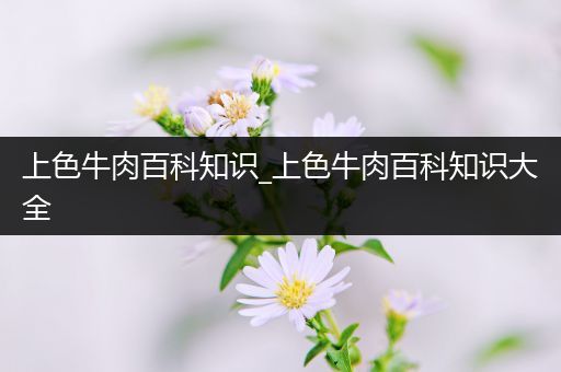 上色牛肉百科知识_上色牛肉百科知识大全