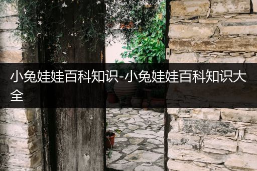 小兔娃娃百科知识-小兔娃娃百科知识大全