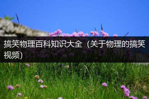 搞笑物理百科知识大全（关于物理的搞笑视频）