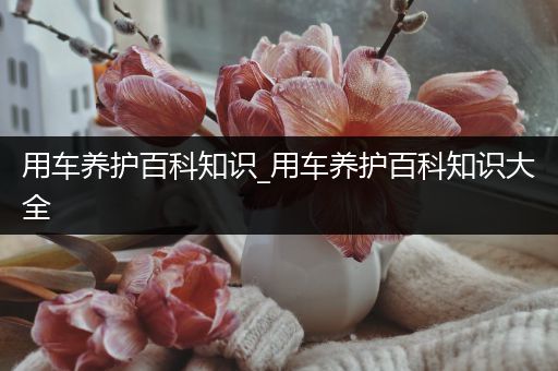 用车养护百科知识_用车养护百科知识大全