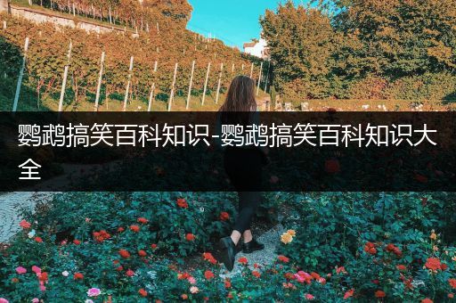 鹦鹉搞笑百科知识-鹦鹉搞笑百科知识大全