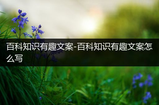 百科知识有趣文案-百科知识有趣文案怎么写