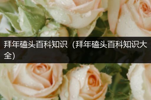 拜年磕头百科知识（拜年磕头百科知识大全）