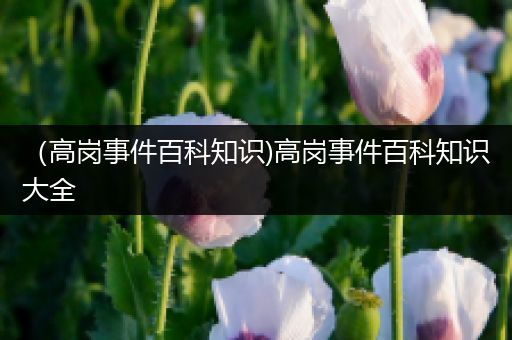 （高岗事件百科知识)高岗事件百科知识大全