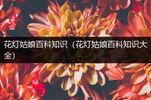 花灯姑娘百科知识（花灯姑娘百科知识大全）