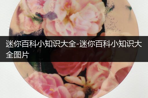 迷你百科小知识大全-迷你百科小知识大全图片
