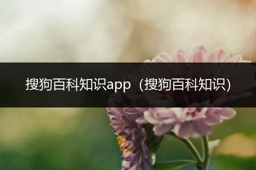 搜狗百科知识app（搜狗百科知识）