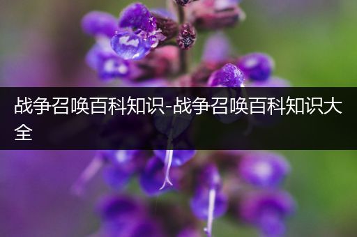 战争召唤百科知识-战争召唤百科知识大全