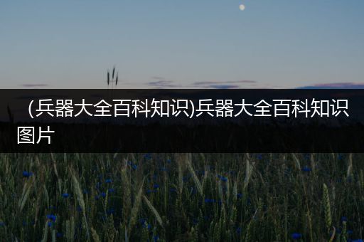 （兵器大全百科知识)兵器大全百科知识图片