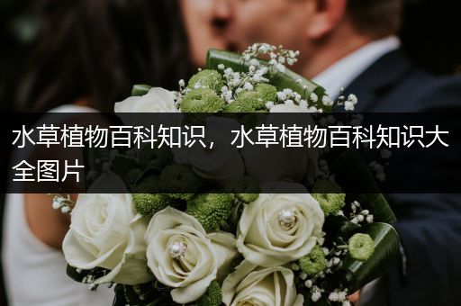 水草植物百科知识，水草植物百科知识大全图片