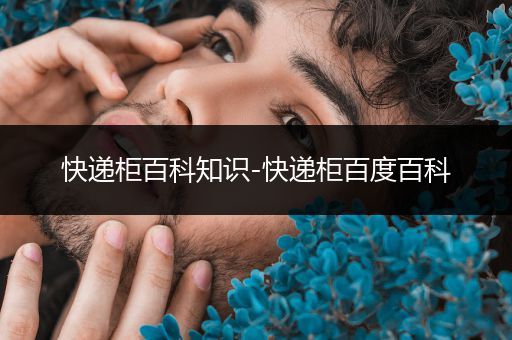 快递柜百科知识-快递柜百度百科