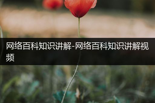 网络百科知识讲解-网络百科知识讲解视频