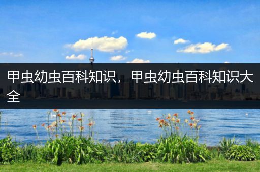 甲虫幼虫百科知识，甲虫幼虫百科知识大全