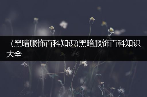 （黑暗服饰百科知识)黑暗服饰百科知识大全