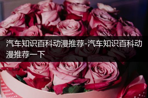 汽车知识百科动漫推荐-汽车知识百科动漫推荐一下