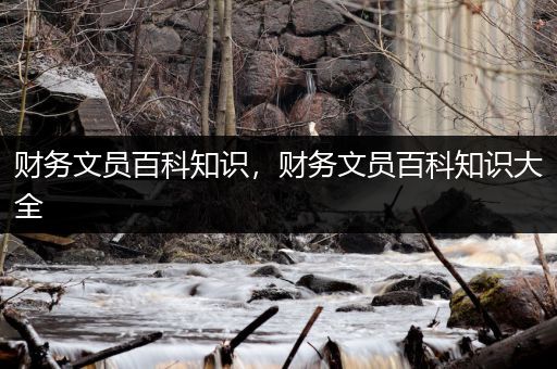 财务文员百科知识，财务文员百科知识大全