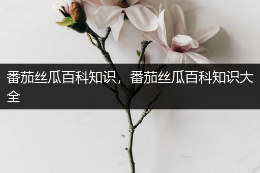 番茄丝瓜百科知识，番茄丝瓜百科知识大全