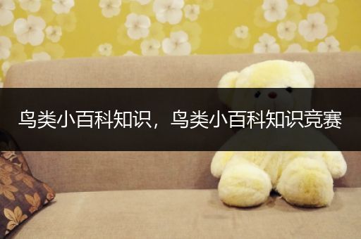 鸟类小百科知识，鸟类小百科知识竞赛
