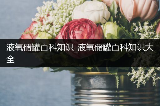 液氧储罐百科知识_液氧储罐百科知识大全