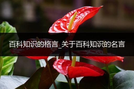 百科知识的格言_关于百科知识的名言