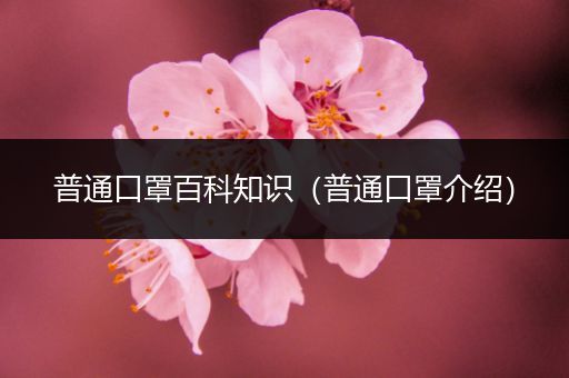 普通口罩百科知识（普通口罩介绍）