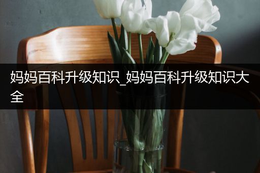 妈妈百科升级知识_妈妈百科升级知识大全