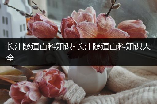 长江隧道百科知识-长江隧道百科知识大全