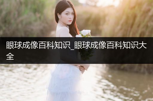 眼球成像百科知识_眼球成像百科知识大全