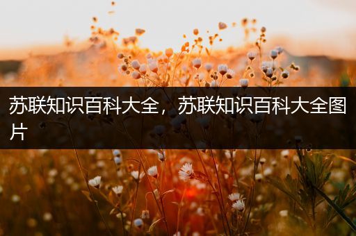 苏联知识百科大全，苏联知识百科大全图片