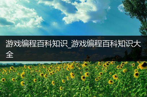 游戏编程百科知识_游戏编程百科知识大全