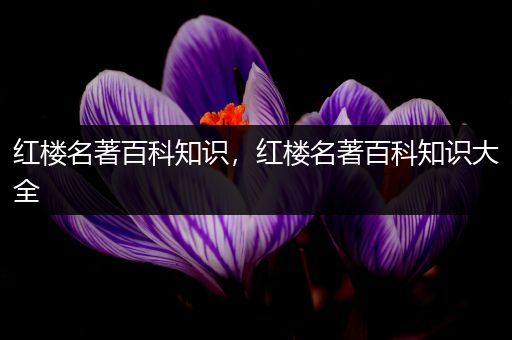 红楼名著百科知识，红楼名著百科知识大全