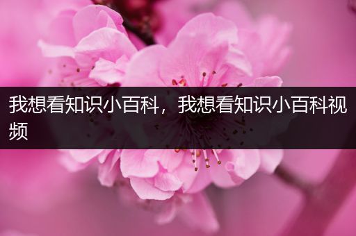 我想看知识小百科，我想看知识小百科视频