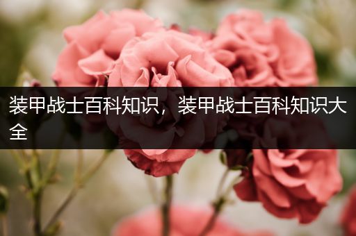 装甲战士百科知识，装甲战士百科知识大全