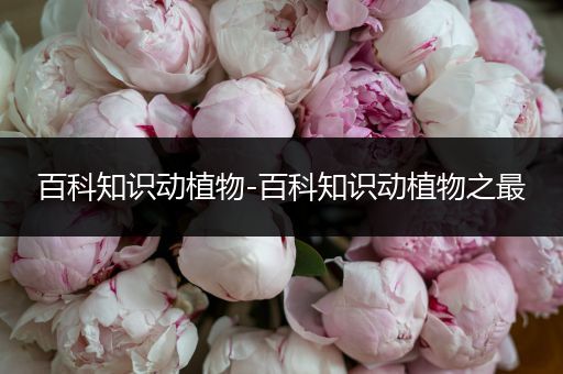 百科知识动植物-百科知识动植物之最