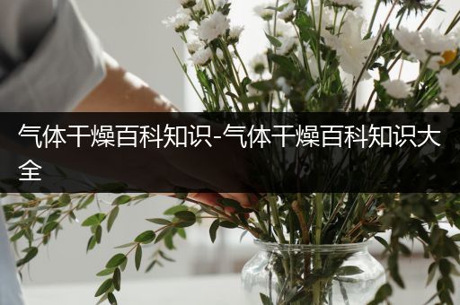 气体干燥百科知识-气体干燥百科知识大全