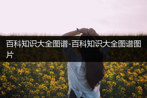 百科知识大全图谱-百科知识大全图谱图片