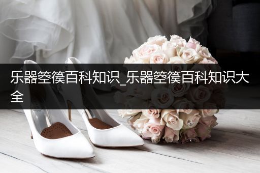 乐器箜篌百科知识_乐器箜篌百科知识大全